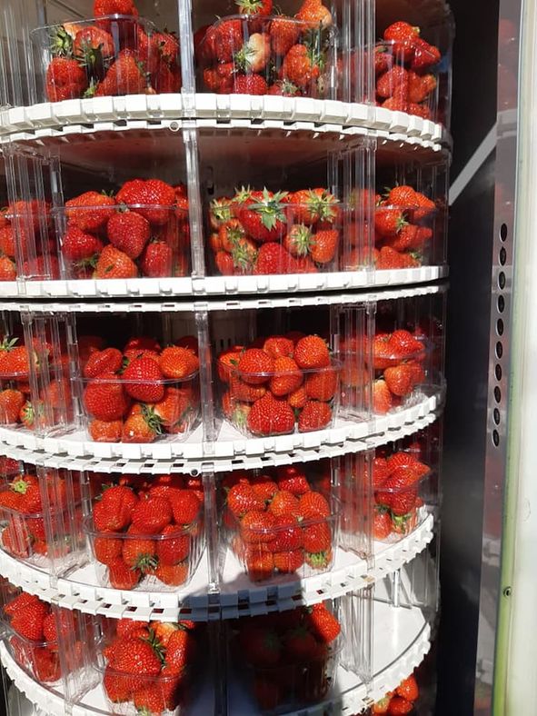Distributeur de fraise